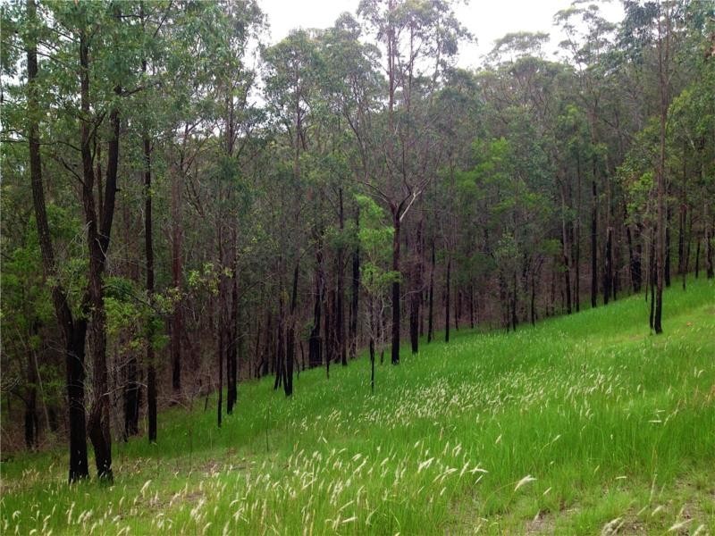 208 Moylans Road, Fosterton NSW 2420