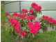 1050 Pelverata Road, Pelverata TAS 7150
