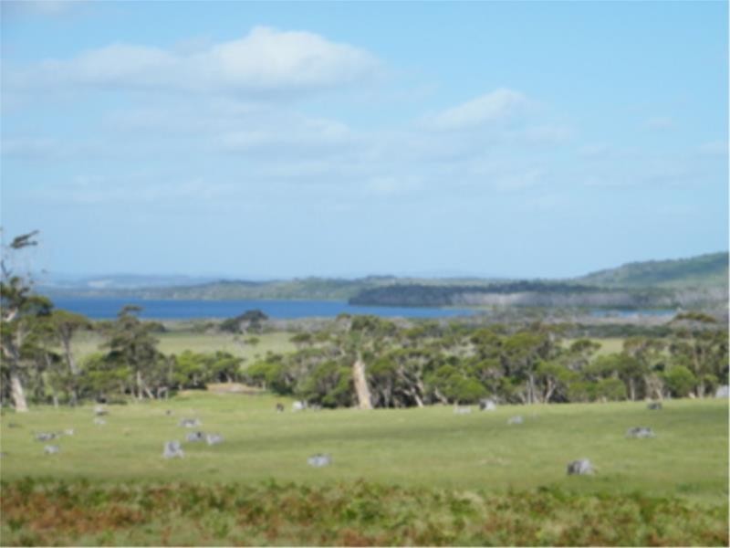 Lot 4 Peaceful Bay Road, Peaceful Bay WA 6333