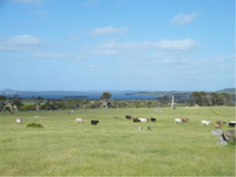 Lot 4 Peaceful Bay Road, Peaceful Bay WA 6333