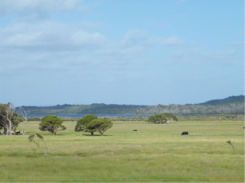 Lot 4 Peaceful Bay Road, Peaceful Bay WA 6333