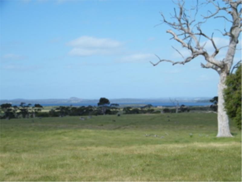 Lot 4 Peaceful Bay Road, Peaceful Bay WA 6333