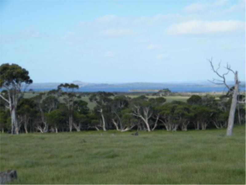 Lot 4 Peaceful Bay Road, Peaceful Bay WA 6333