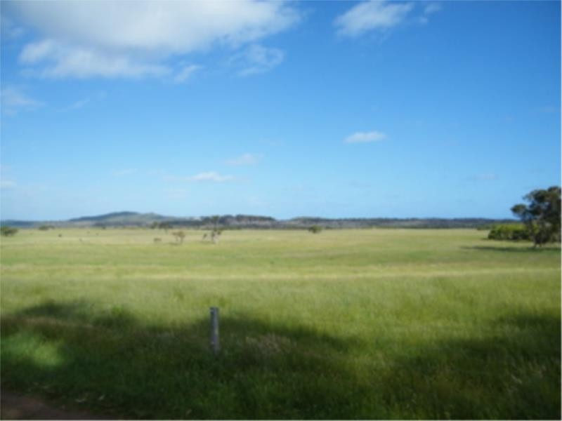 Lot 4 Peaceful Bay Road, Peaceful Bay WA 6333