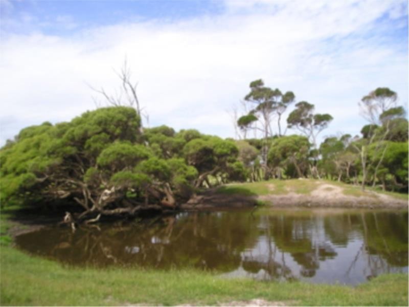 Lot 4 Peaceful Bay Road, Peaceful Bay WA 6333