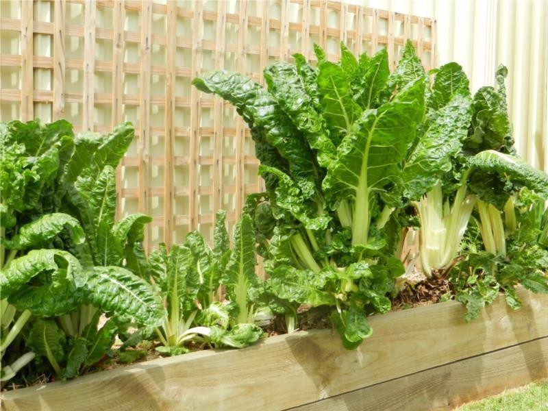 8a Esther Binks Avenue, Greenacres SA 5086