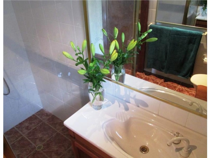 343 Harbour Drive, Coffs Harbour NSW 2450