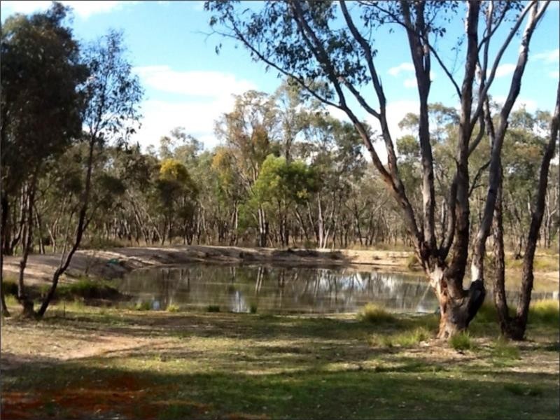 239 Cypress Drive, Yarrawonga NSW 2850