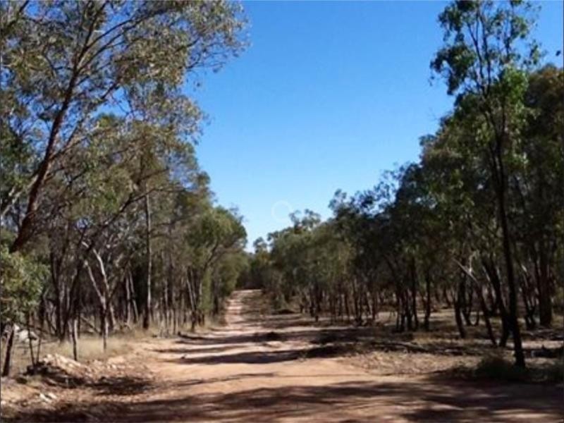 239 Cypress Drive, Yarrawonga NSW 2850