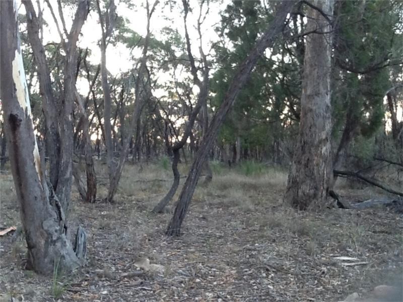 239 Cypress Drive, Yarrawonga NSW 2850