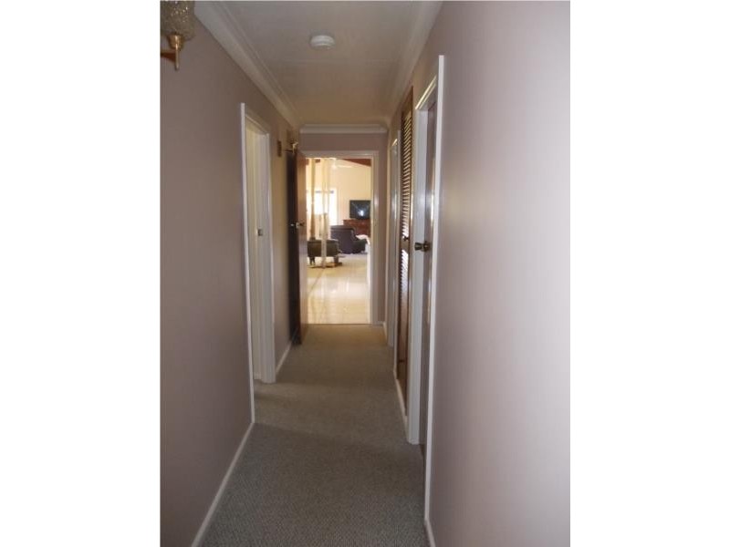 2 Gum Street, Dorrigo NSW 2453