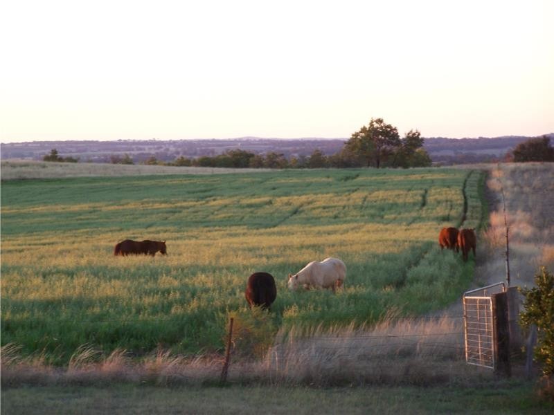 2321 Ashford Road, Inverell NSW 2360