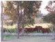 2321 Ashford Road, Inverell NSW 2360