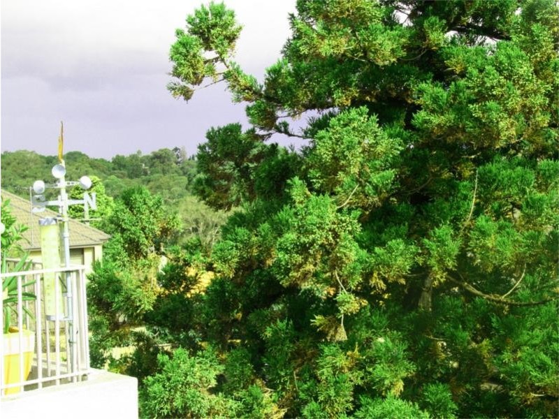 1/128 Burns Bay Road, Lane Cove NSW 2066