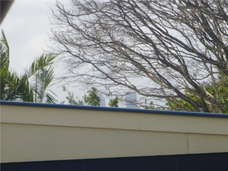 19 Dorinda Street, Greenslopes QLD 4120