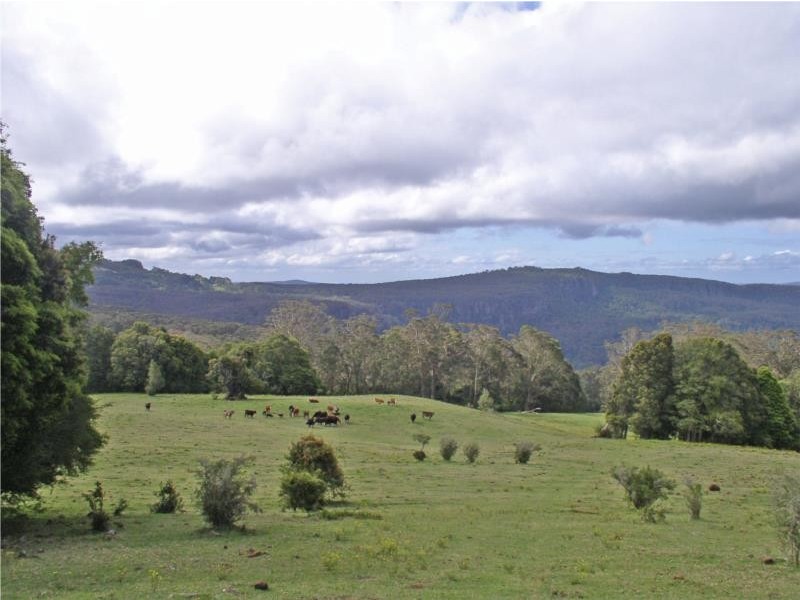 lot 1 Old Jamberoo Road, Robertson NSW 2577