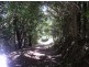 lot 1 Old Jamberoo Road, Robertson NSW 2577