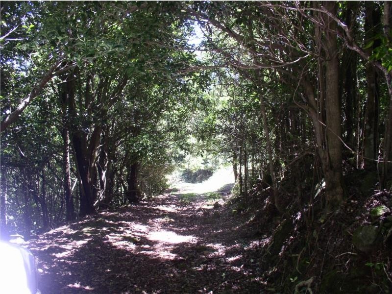 lot 1 Old Jamberoo Road, Robertson NSW 2577