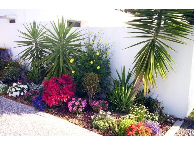 10 Albany Street, Sippy Downs QLD 4556