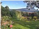 38 Willow Avenue, Kingston TAS 7050