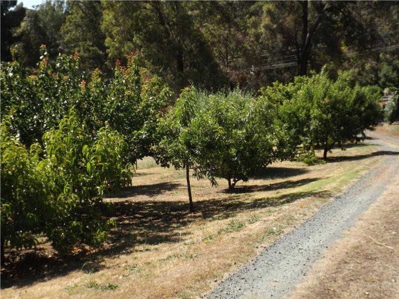 17 Dean Street, Bridgetown WA 6255