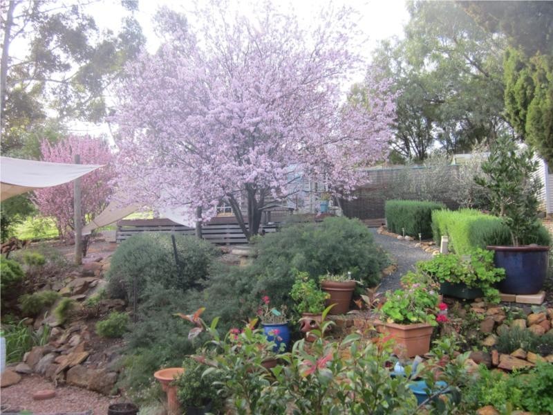 17 Dean Street, Bridgetown WA 6255