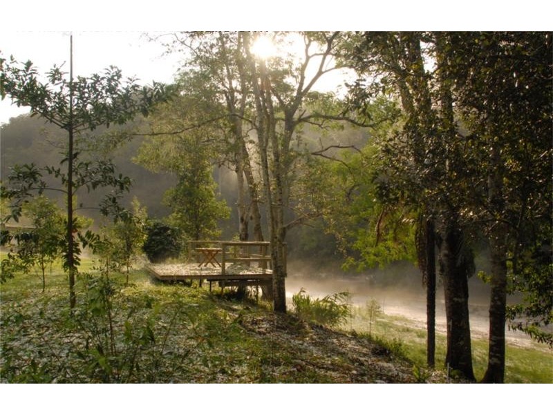 1498 Darkwood Road, Darkwood NSW 2454