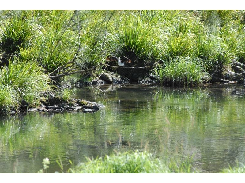 1498 Darkwood Road, Darkwood NSW 2454