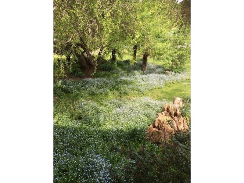 9 Old Summerleas Road, Kingston TAS 7050