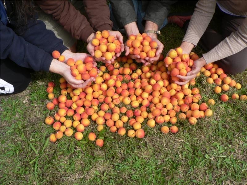 9 Old Summerleas Road, Kingston TAS 7050