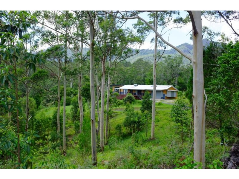 Mount Burrell NSW 2484