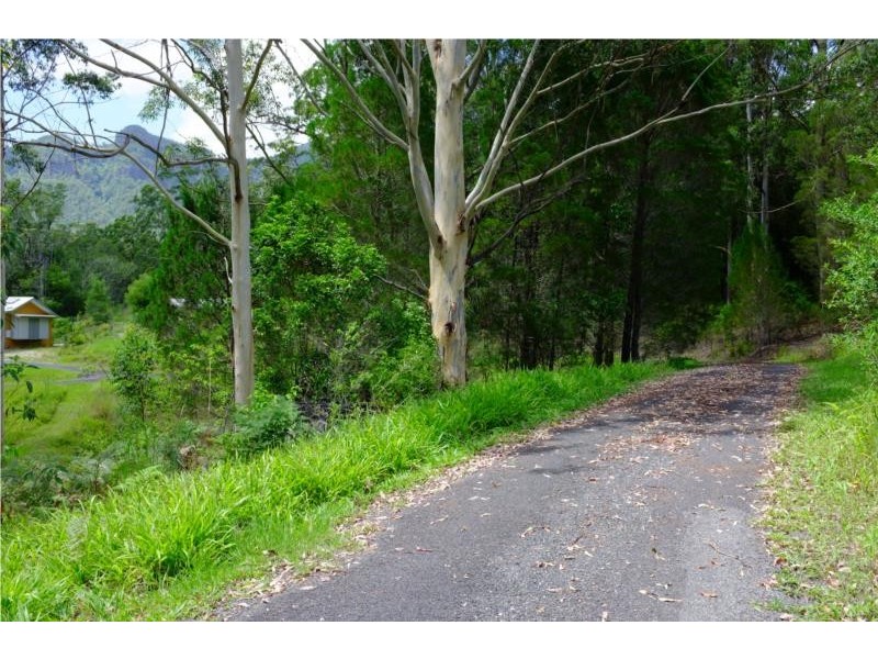 Mount Burrell NSW 2484