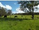 1411 Timbarra Road, Tenterfield NSW 2372
