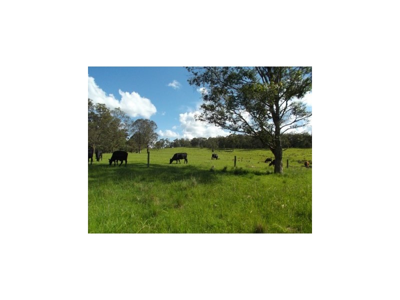 1411 Timbarra Road, Tenterfield NSW 2372