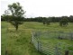 1411 Timbarra Road, Tenterfield NSW 2372