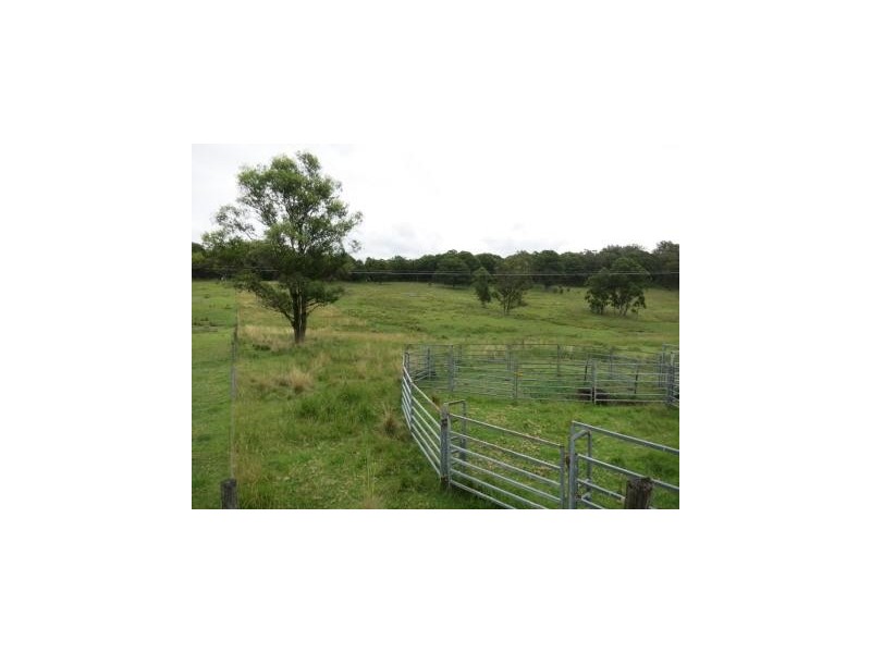 1411 Timbarra Road, Tenterfield NSW 2372