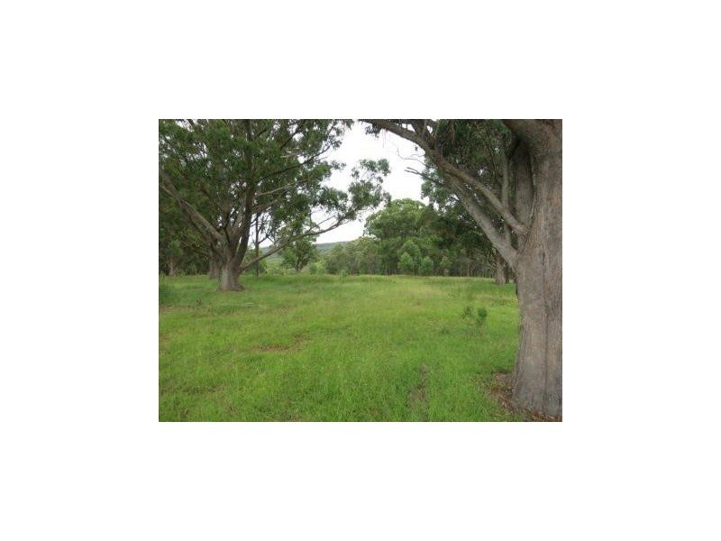 1411 Timbarra Road, Tenterfield NSW 2372