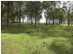 1411 Timbarra Road, Tenterfield NSW 2372