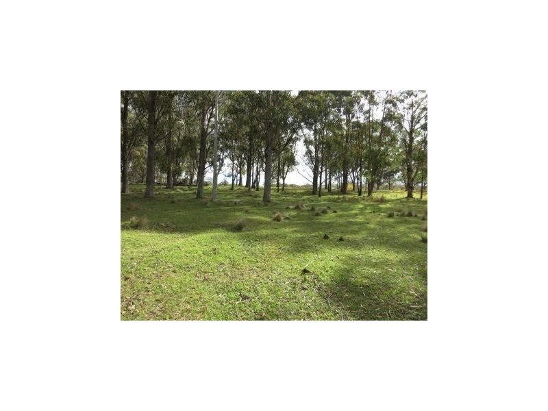 1411 Timbarra Road, Tenterfield NSW 2372