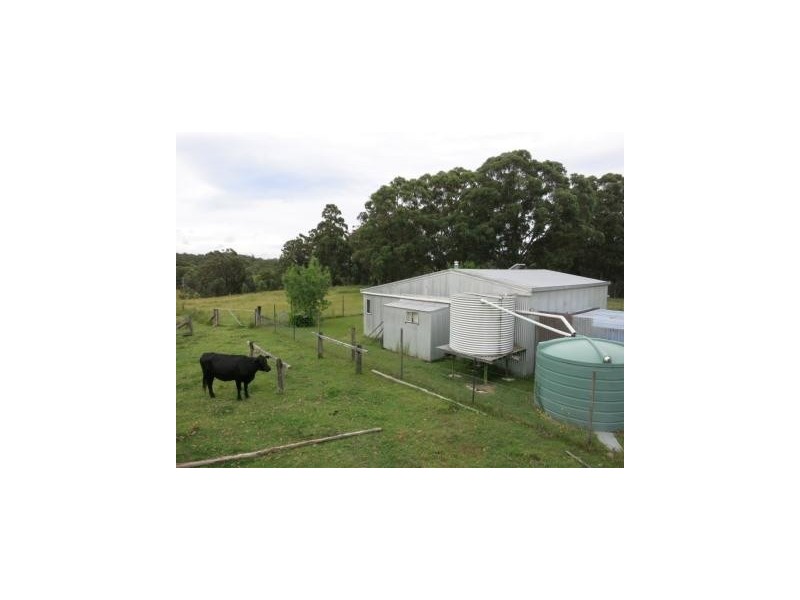 1411 Timbarra Road, Tenterfield NSW 2372