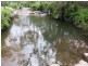 1411 Timbarra Road, Tenterfield NSW 2372