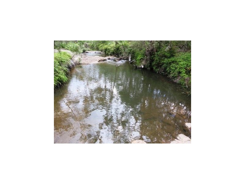 1411 Timbarra Road, Tenterfield NSW 2372