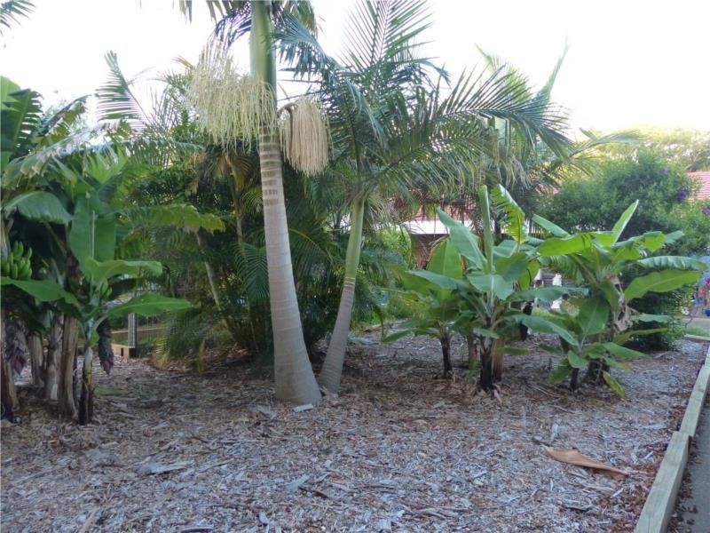 3 Plantation Avenue, Coffs Harbour NSW 2450