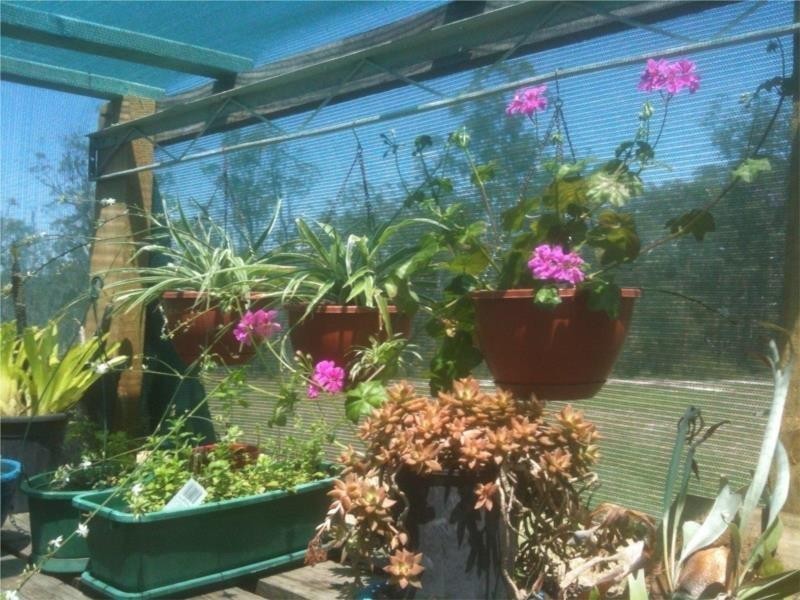 1355 Stockyard Creek Road, Copmanhurst NSW 2460