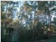 Coolangatta QLD 4225