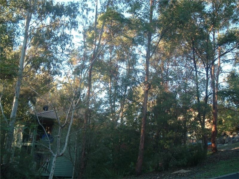 Coolangatta QLD 4225