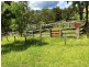 Tenterfield NSW 2372