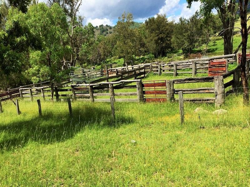 Tenterfield NSW 2372