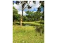 Tenterfield NSW 2372