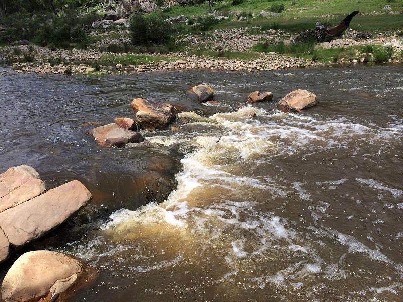 Tenterfield NSW 2372